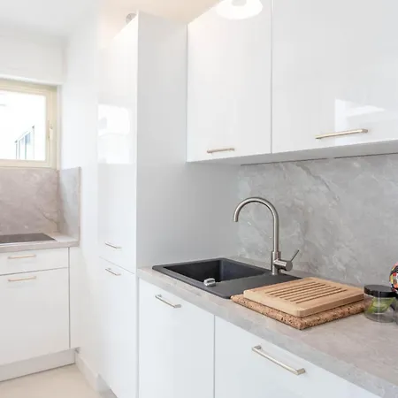 L'hippocampe Du Palm