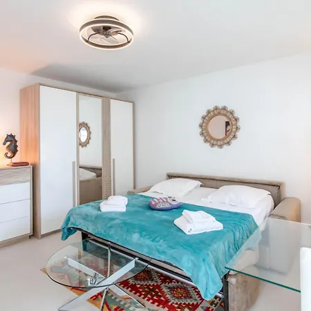 L'hippocampe Du Palm * Cannes