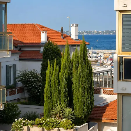 L'hippocampe, Palm Beach, Studio, 2p, Ac, Terrace *