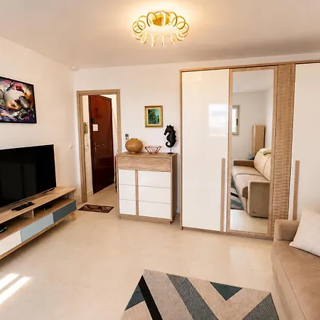 L'hippocampe, Palm Beach, Studio, 2p, Ac, Terrace 公寓 *